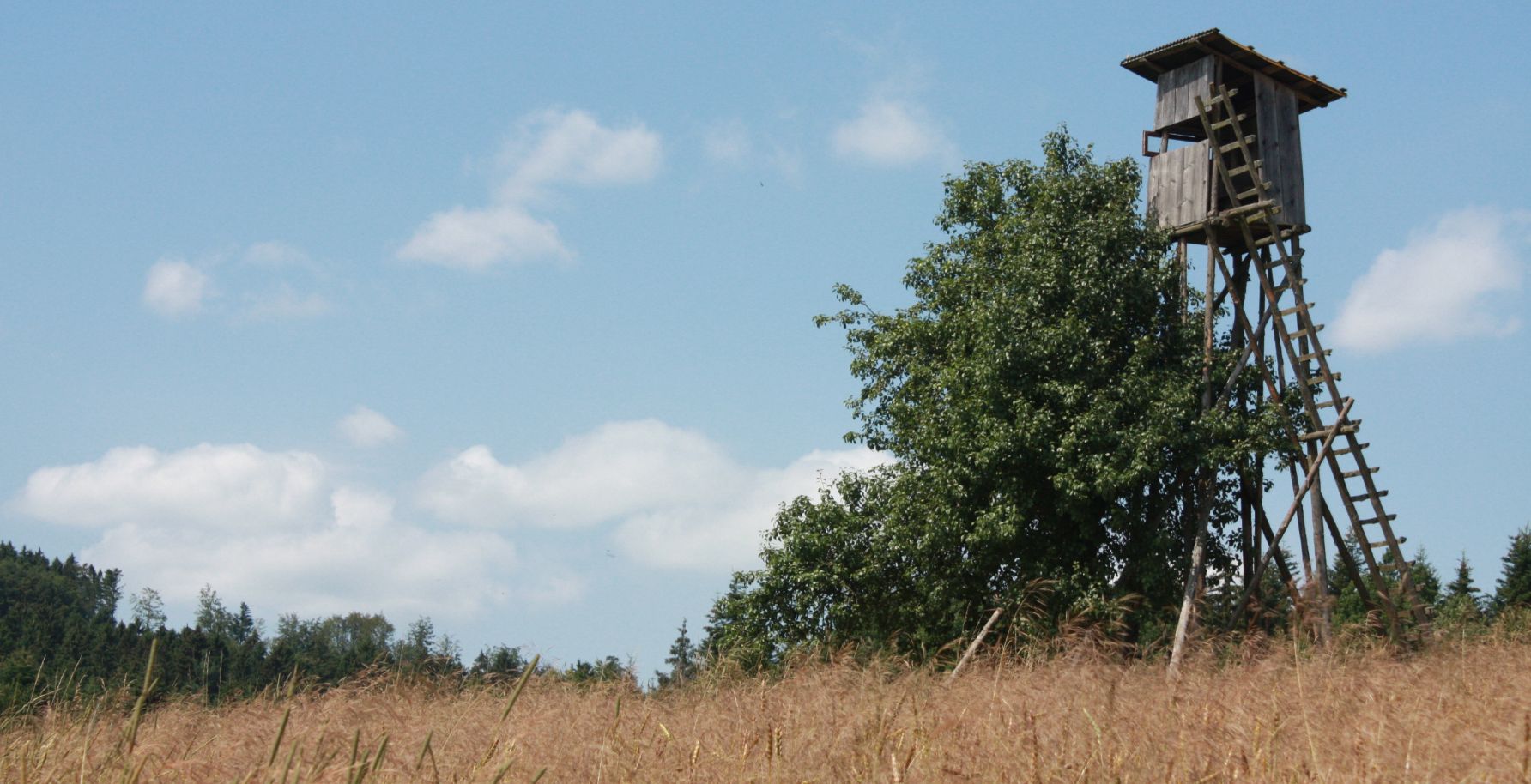 Wechselbild der Gemeinde