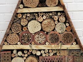 Insektenhotel
